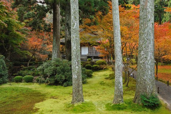 三千院(極楽往生院)